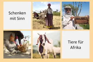 Schenken mit Sinn. Tiere für Afrika