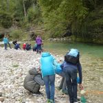 1C an der "Krummen Steyerling"