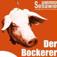 Cover des Programmheftes https://www.sellawie.at/programm/archiv/